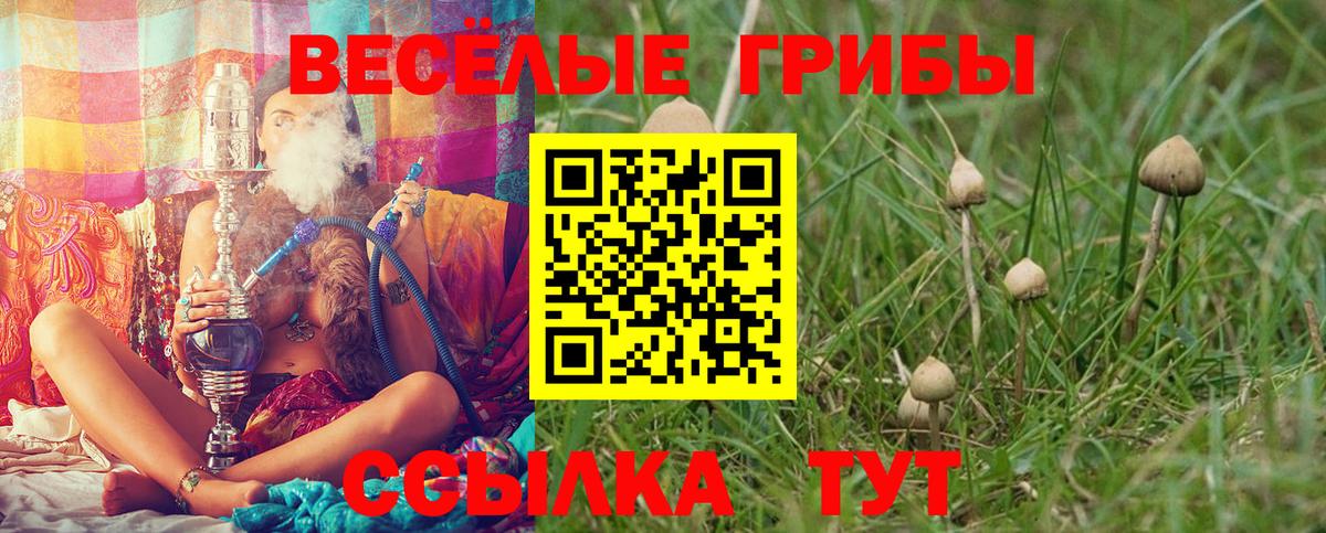 Благодарный  Галлюциногенные грибы GOLDEN TEACHER  Вход с VPN 