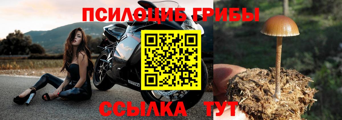Галлюциногенные грибы GOLDEN TEACHER Благодарный